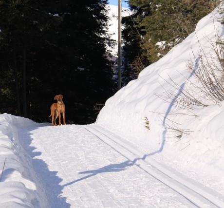 dovolenka 2010 Taliansko Meransen 060.jpg